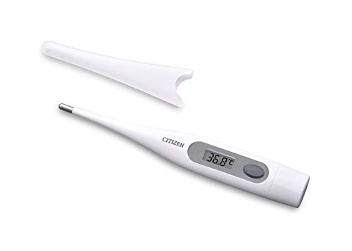 Citizen Thermometer