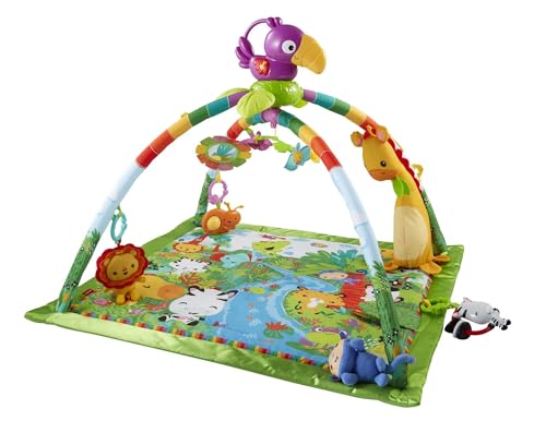 Fisher-Price Babygym