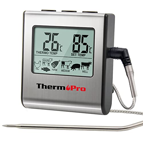 Thermopro Vleesthermometer