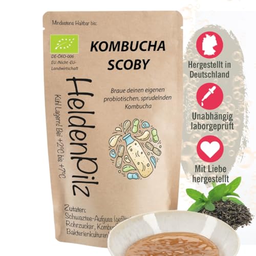 Heldenpilz Kombucha