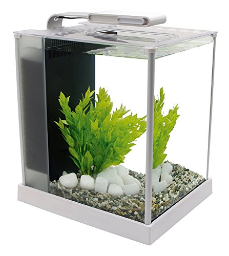 Fluval Nano Aquarium